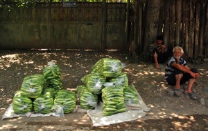 Road to Sighnaghi - Produce