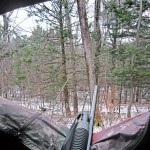 Catskills Mountains - Deer Hunting