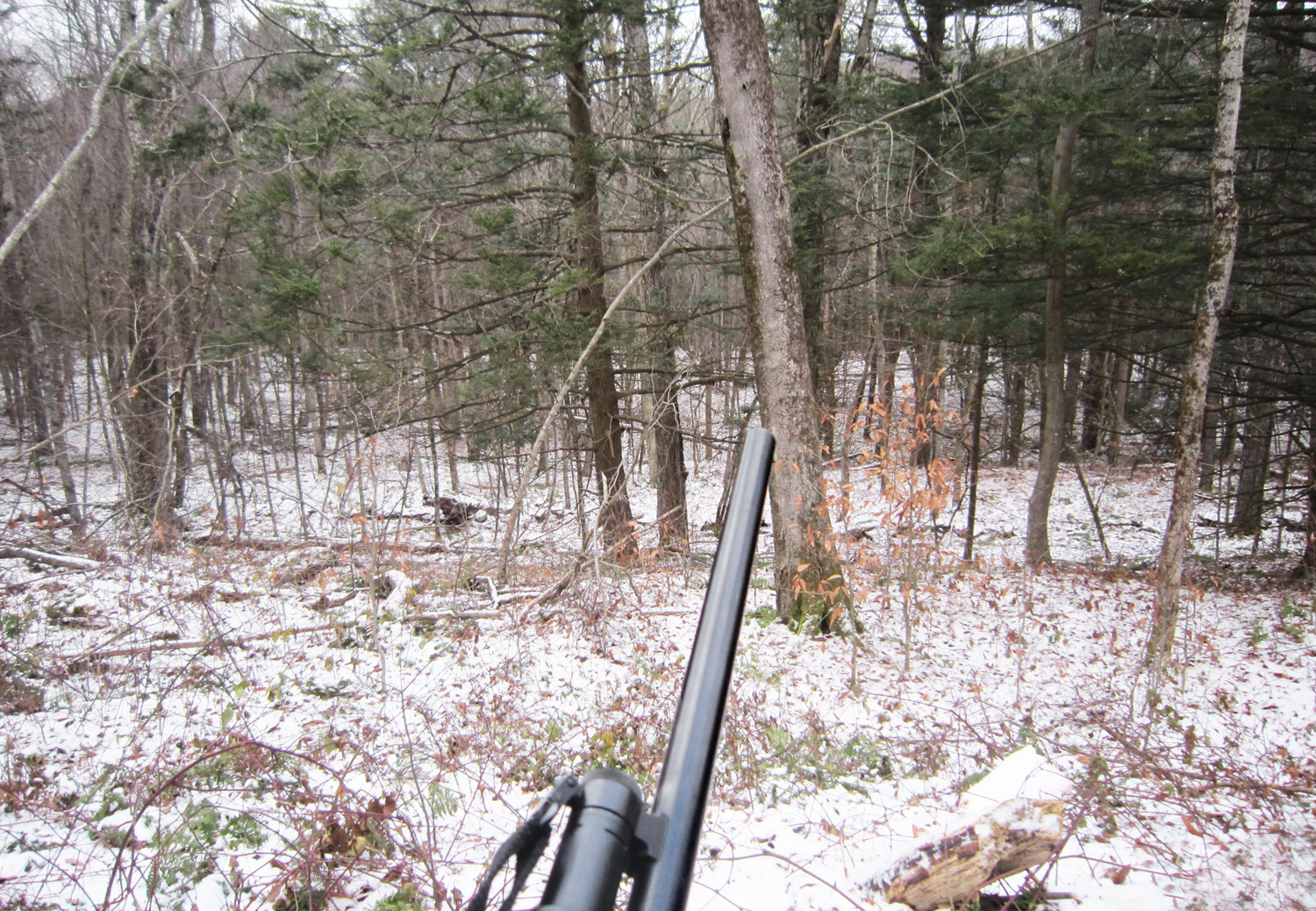Catskills Mountains - Deer Hunting