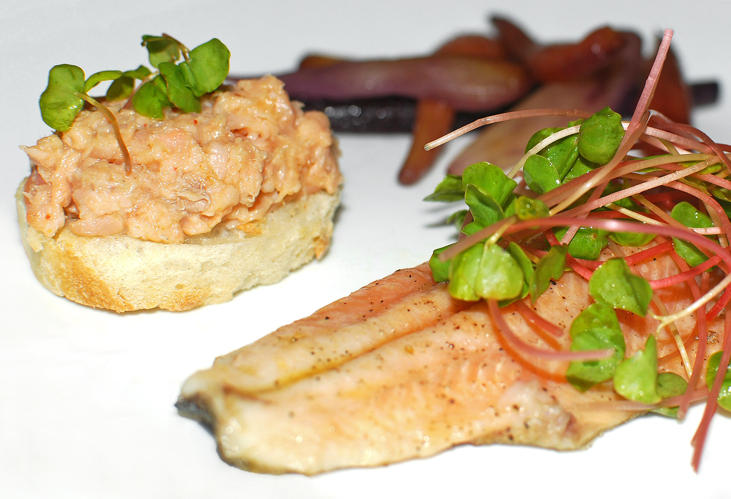 Ice Fishing, and Quick Seared Trout with Smoked Trout Rillettes