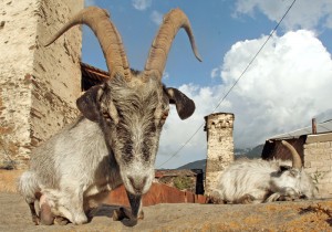 Svaneti - Ushguli