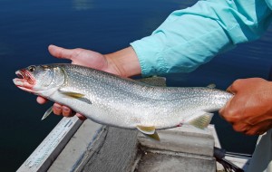 Keuka Lake Fishing