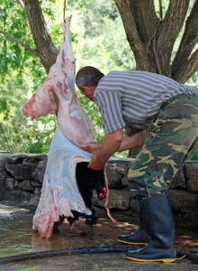 Geghard Monastery - Lamb Sacrifice