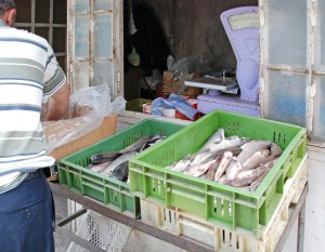 Goris - Market - Fish