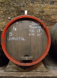 Hungary - Tokaji Wine - Tokaj Classic