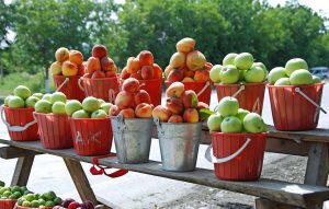 Azerbaijan - Road to Quba
