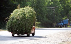 Azerbaijan Travel - Quba