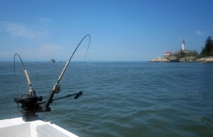 Vancouver Coho Salmon Fishing - Crab-Stuffed Salmon Paupiette and Salmon Brandade