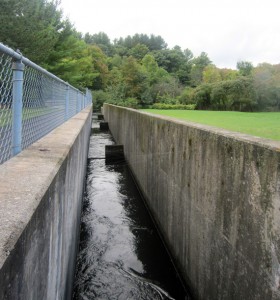 Fishing the Salmon River - Hatchery