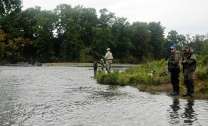 Fishing the Salmon River - Douglaston Salmon Run