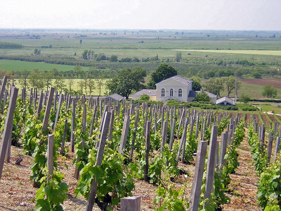 Tokaj - Disznókő Winery
