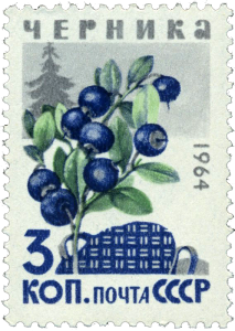 Blueberry Preserves