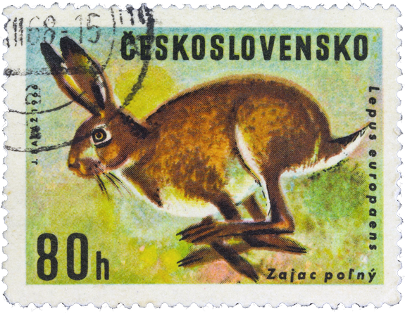 Stamp from Czechoslovakia - 1966