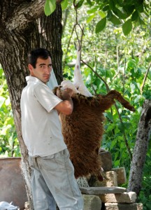 Azerbaijan Travel - Road to Xinaliq - Slaughtering a Lamb