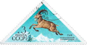 Soviet Stamp - Caucasian Goat