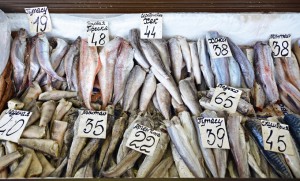 Chișinău Central Market - Fish