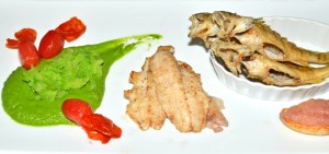 Lake Ontario - Ice Fishing - Yellow Perch