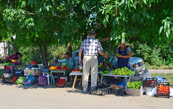 Road to Vylkove - Roadside Vendors