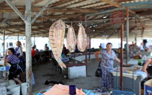 Vylkove - Market - Fish