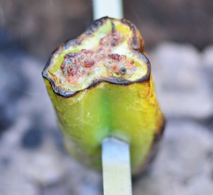 Stuffed Vegetable Shashlyk