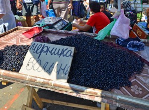 Privoz Market - Blueberries