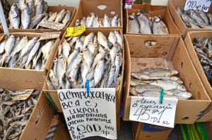Privoz Market - Fish