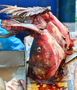 Ukraine - Odessa - Privoz Market - Seafood