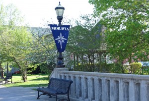 Moravian Trout Rillettes and Tartare