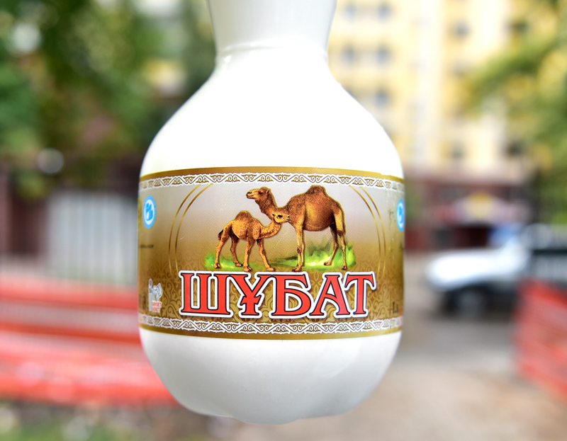 Shubat, Fermented Camel's Milk