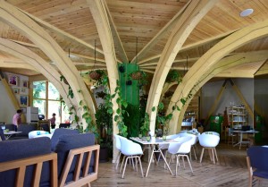 Almaty - Café Ldinka