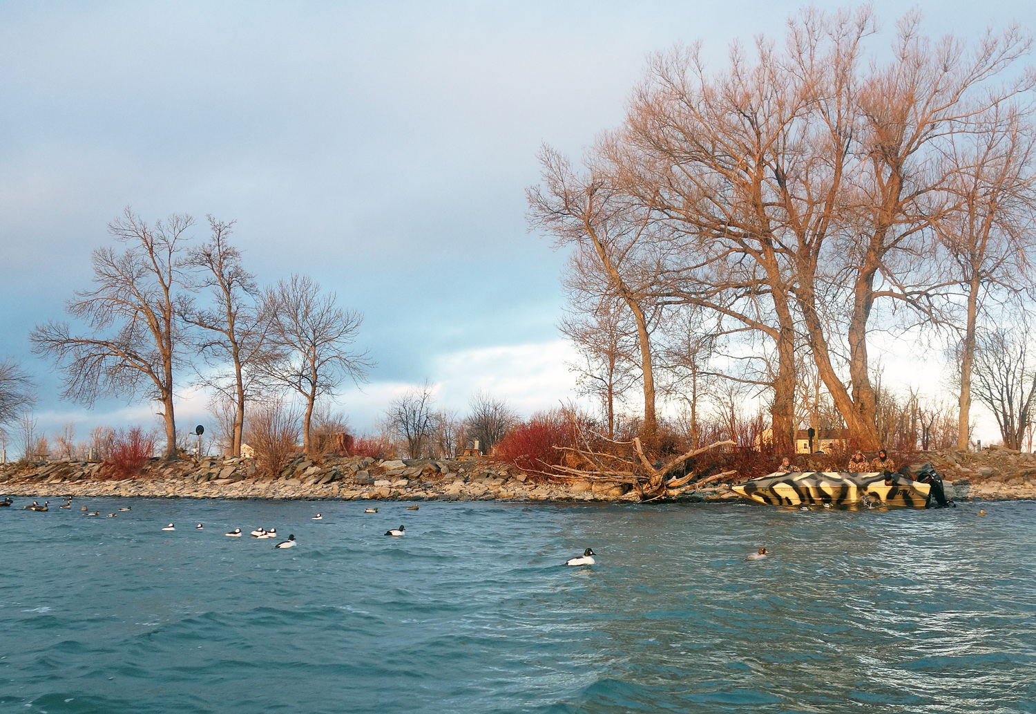 Lake Ontario - Duck Hunting