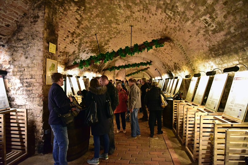 Moravia - Valtice - Salon of Czech Republic Wines