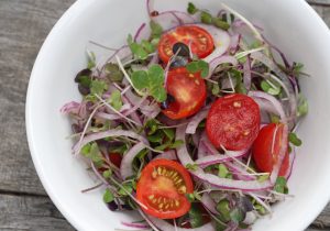 Red Onion, Cherry Tomato and Microgreen Salad