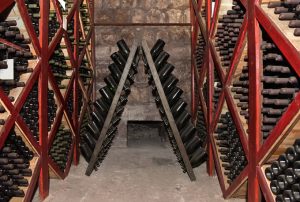 Montenegrin Wine - Plantaže