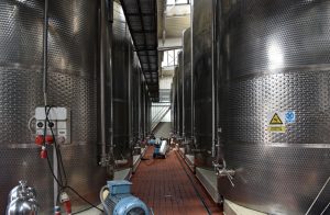 Montenegrin Wine - Plantaže - New Cellar