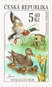Czech Postage Stamp - Mallard Ducks
