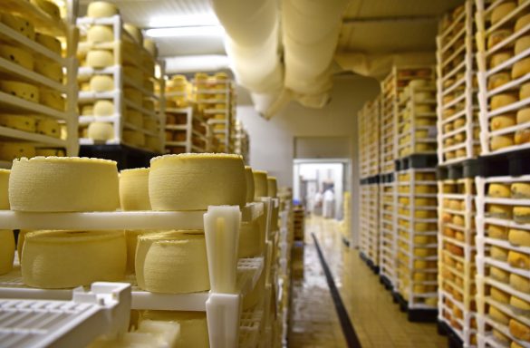 7 Lessons I Learned Working with a Cheesemaker