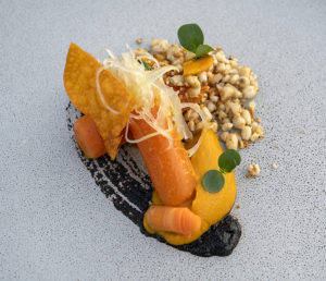 Restaurant 360 - Textures of Carrot / Fermented Garlic Cream / Pine Nuts / Celery