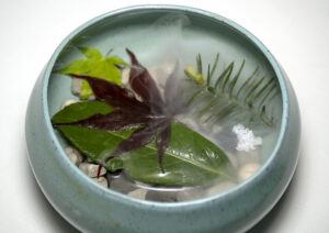 Hiša Franko - Finger Bowl