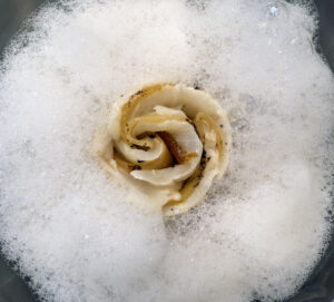 Boškinac Restaurant - Saur Marinated Whitefish