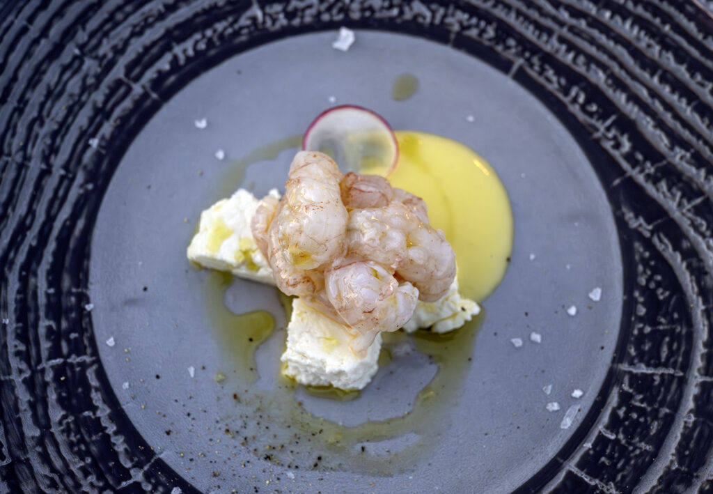 Draga di Lovrana - Marinated Langoustines