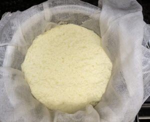 Skuta, Slovenian and Istrian Farmer Cheese