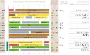 Maria Thun Biodynamic Almanac