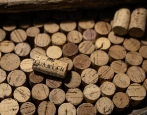 Slovenian Natural Wines - Klabjan