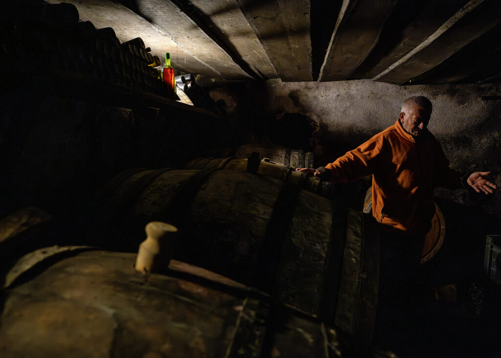 Slovenian Natural Wines - Organic Anarchy